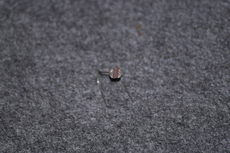 dsc0194.jpg dsc0194.jpg