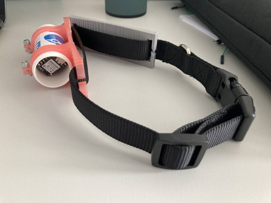 collar.jpg collar.jpg