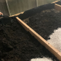 black_soil_and_perlite.png